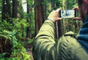 Inspirações de Paisagens