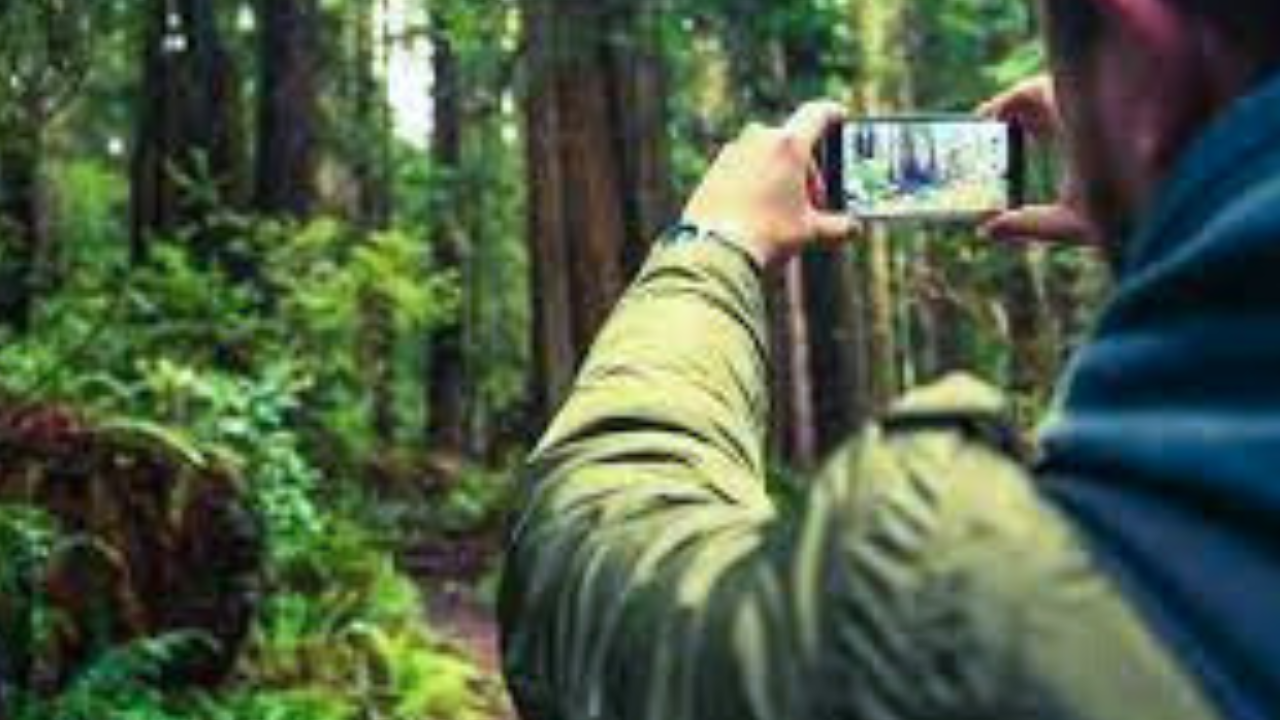 Inspirações de Paisagens